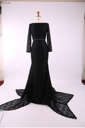 Sexy Prom Dresses,Open Back Prom Dress,Long Sleeve Prom Dresses,Formal Prom Dress,Cheap Prom Dresses,PD00159